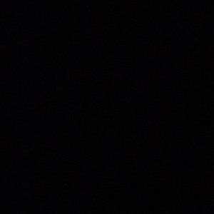 Meet your Posher, Audie